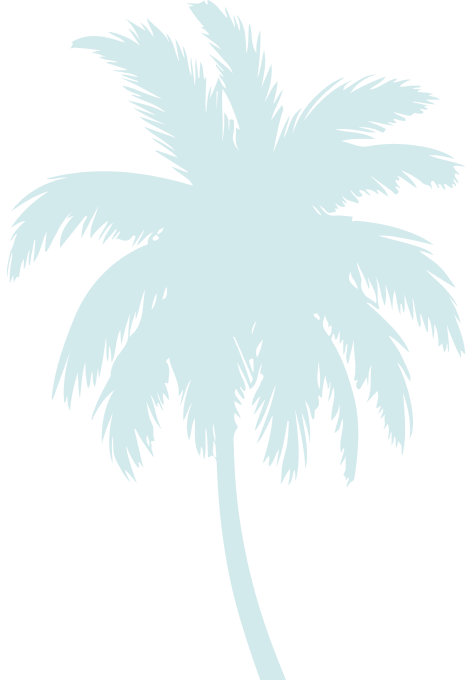Palace Beach Hostel - Coconut Tree Background