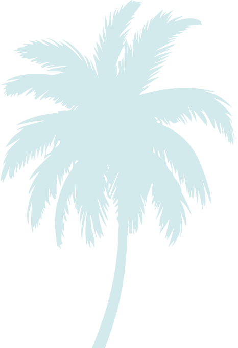 Palace Beach Hostel - Coconut Tree Background